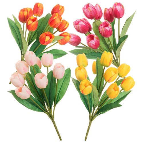 Band 9 tulips